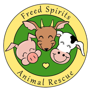Freed Spirits Animal Rescue