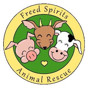 Freed Spirits Animal Rescue